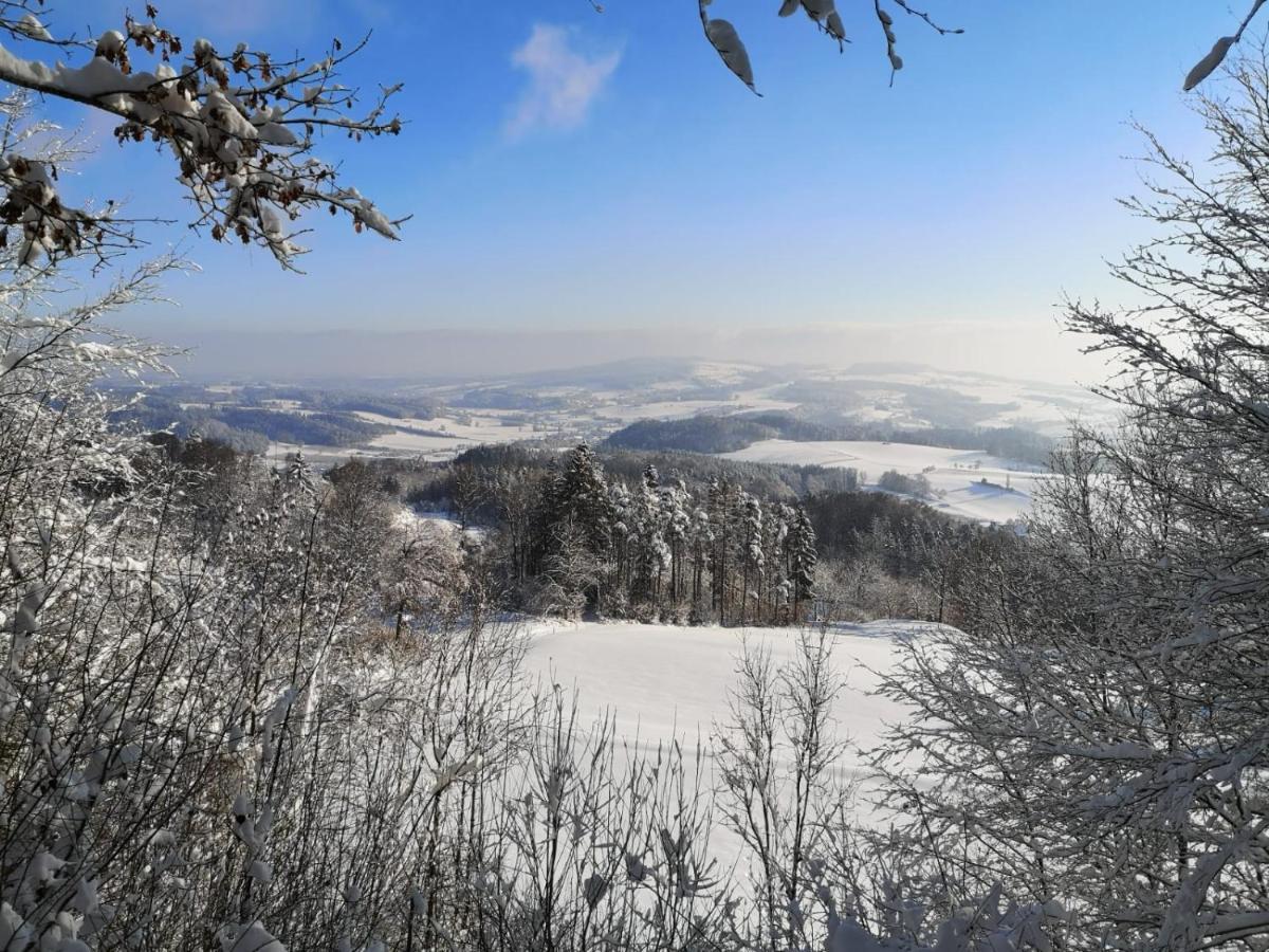 Loft Ueber Dem Bodensee Heiligenborn エクステリア 写真