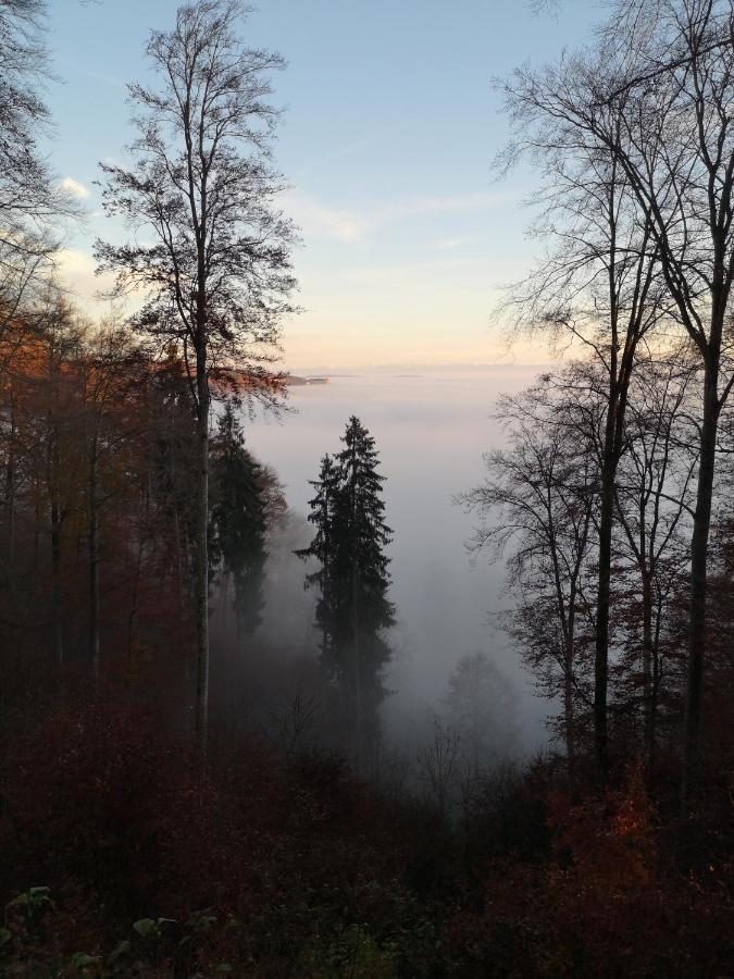 Loft Ueber Dem Bodensee Heiligenborn エクステリア 写真